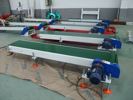 Scale Plant